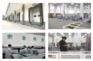 想對(duì)標(biāo)新西蘭佳沛,這家國(guó)內(nèi)品牌已做了哪些