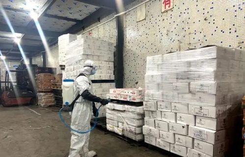 警惕 河北一地檢出6份陽(yáng)性冷凍肉 承德發(fā)布重要公告