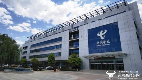 河北電信人力資源部總經(jīng)理郭金萍揭秘 2020年從部門副總經(jīng)理提拔